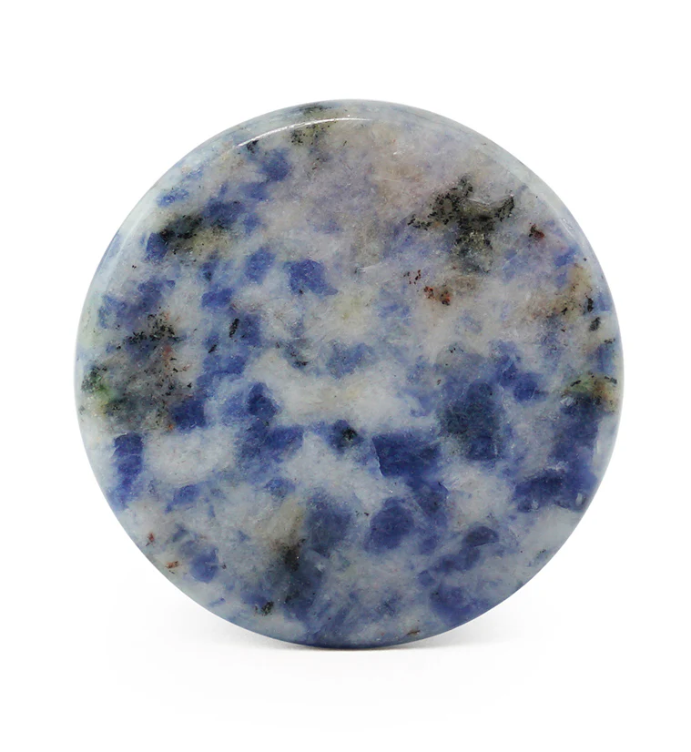 Blue Spot Jasper Stone Plugs - Mrs Treak
