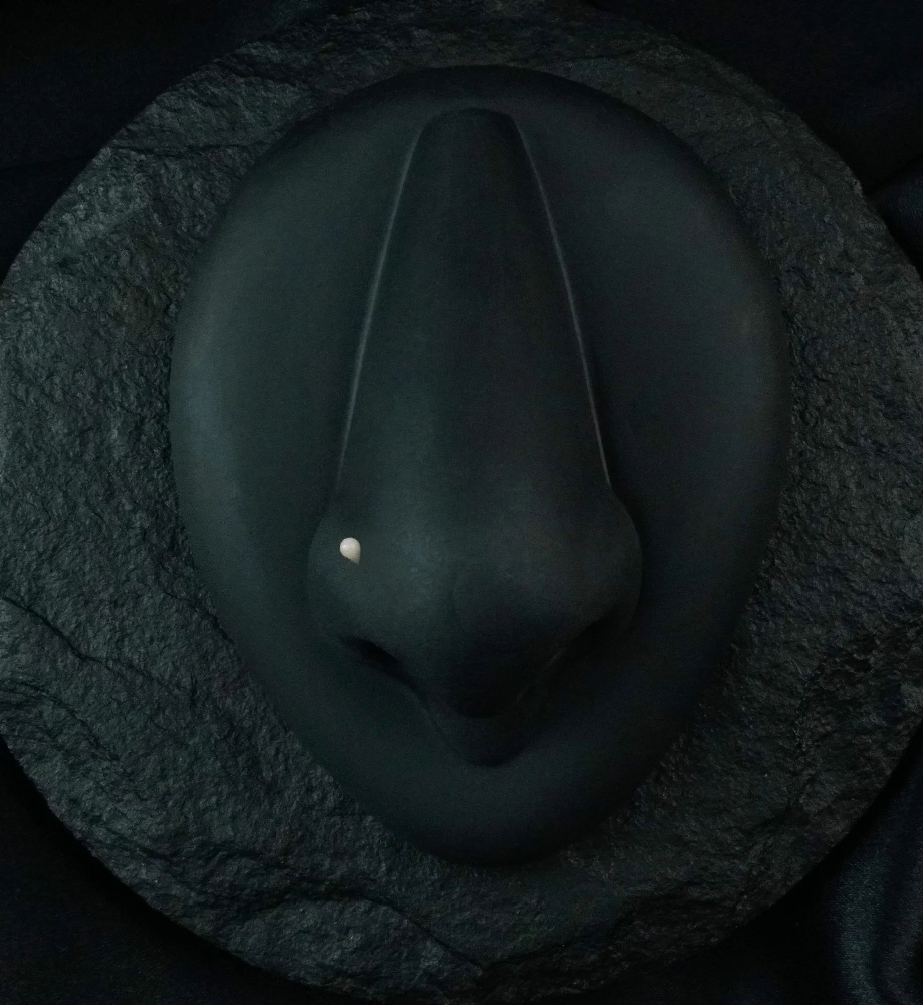 Sand L Bend Glass Nose Ring - Mrs Treak