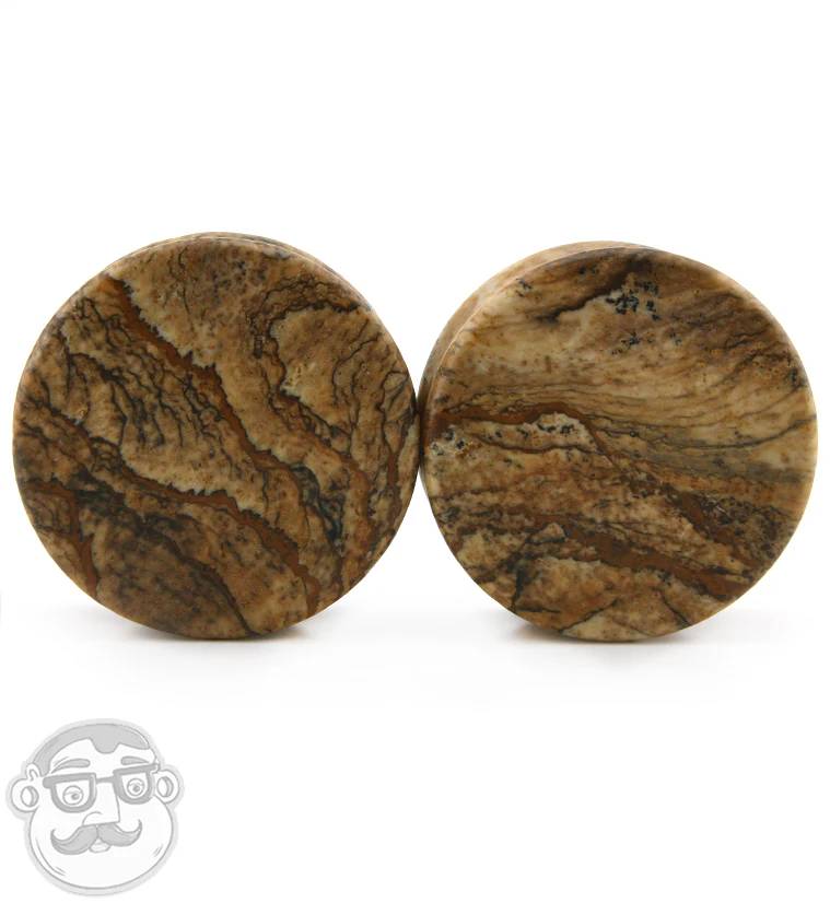 Picture Jasper Stone Plugs - Mrs Treak
