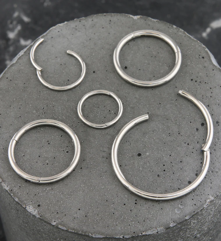 Titanium Hinged Segment Hoop Ring - Mrs Treak