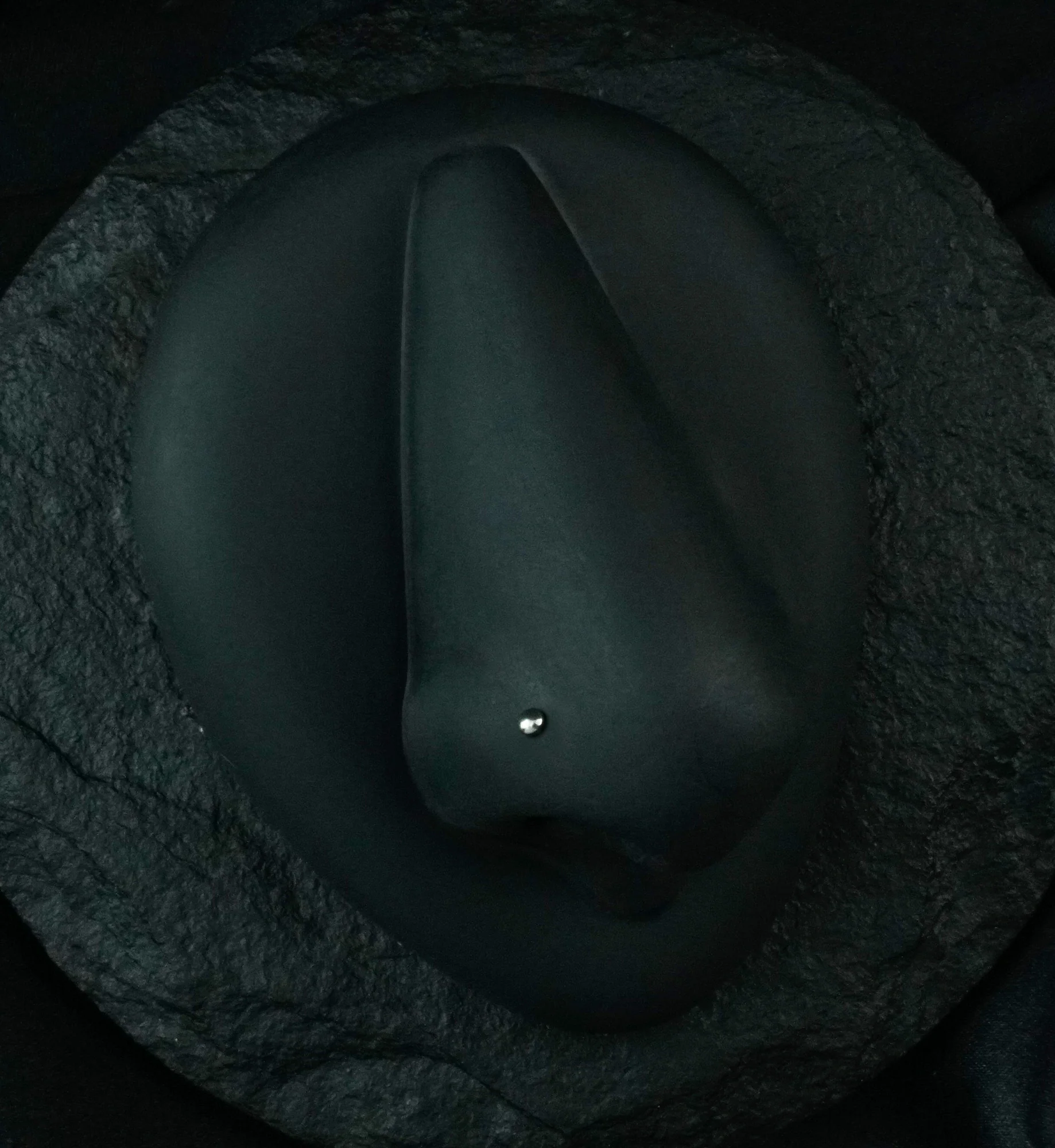 Flat Stainless Steel Nosebone - Mrs Treak