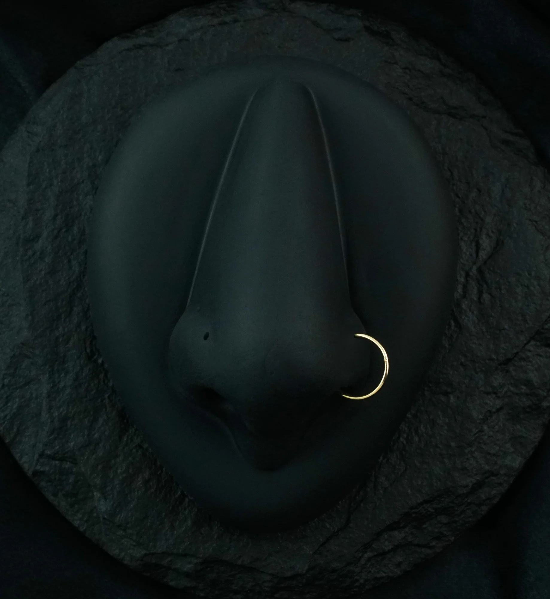 14kt Gold Hoop Nose Ring - Mrs Treak