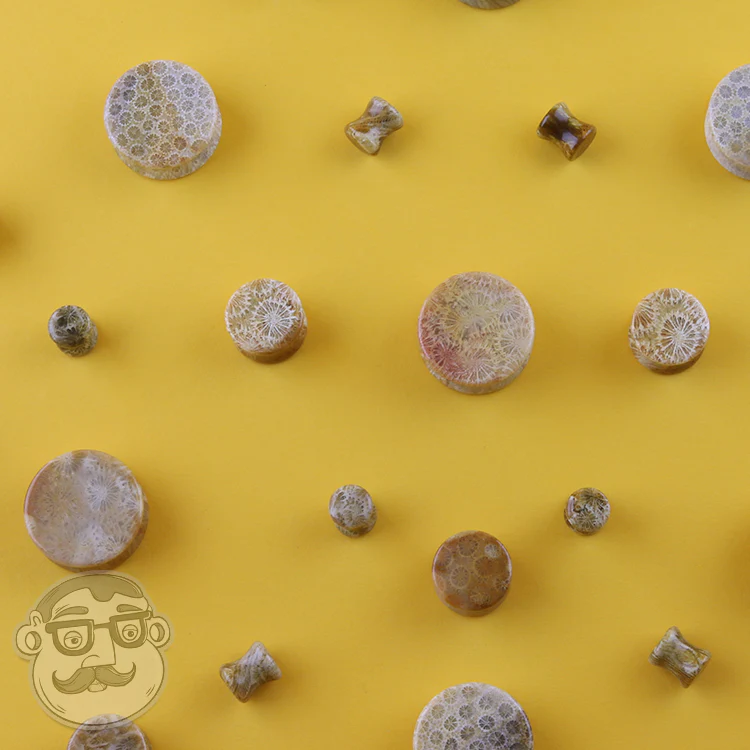 Indonesian Fossilized Coral Plugs - Mrs Treak