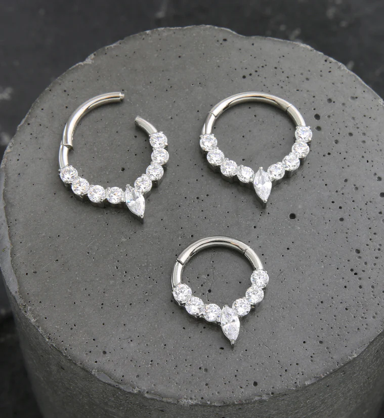 Icicle Clear CZ Titanium Hinged Segment Ring - Mrs Treak