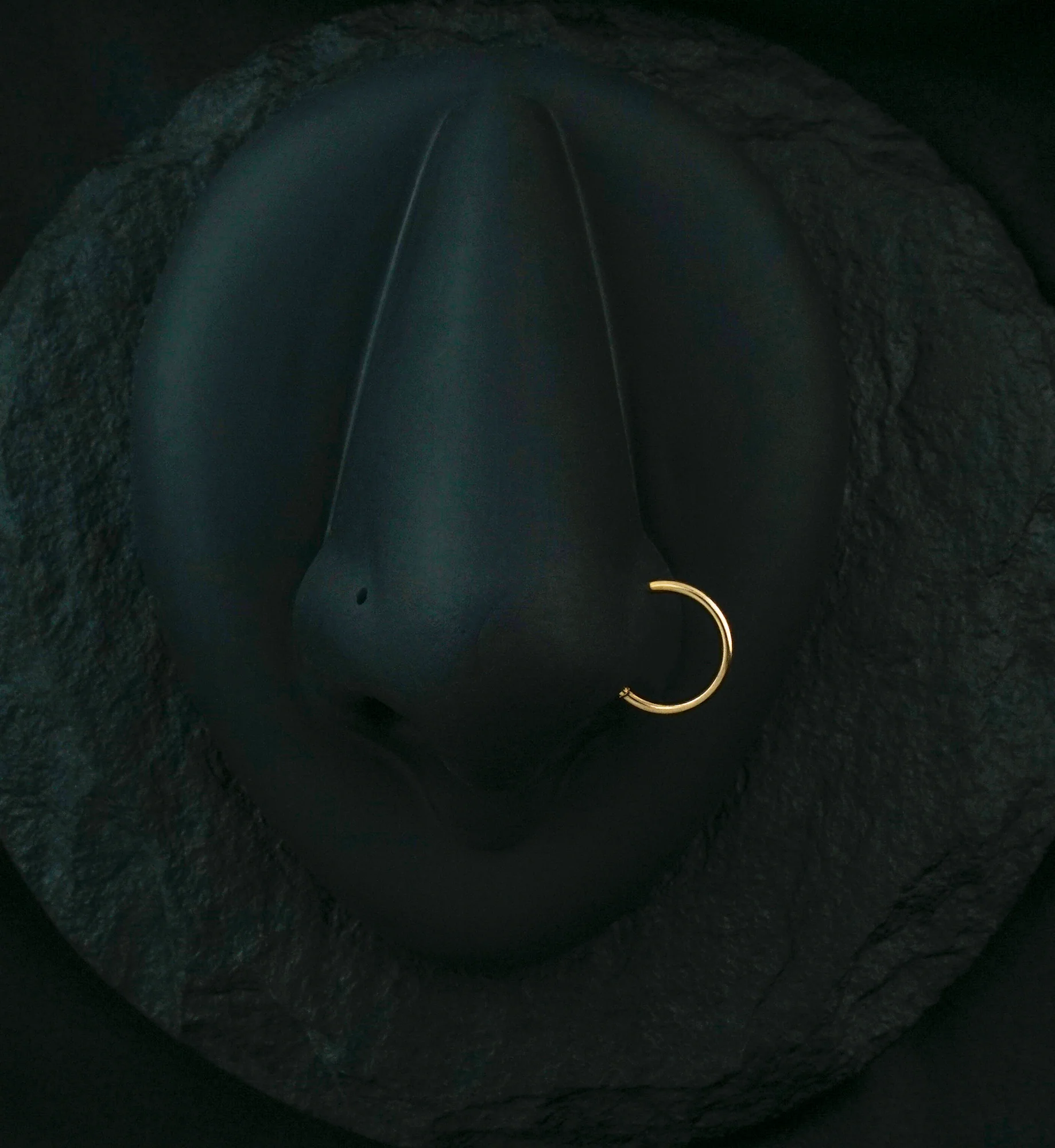 Rose Gold PVD Hinged Stainless Steel Segment Hoop Ring - Mrs Treak