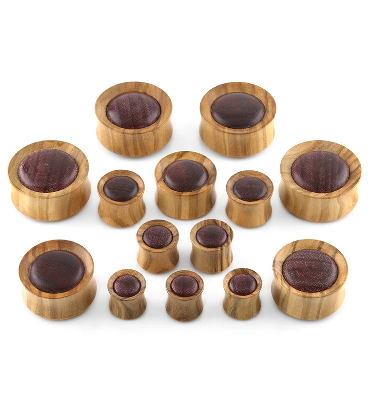 Olive Wood Concave Plugs With Purple Heart Inlay - Mrs Treak