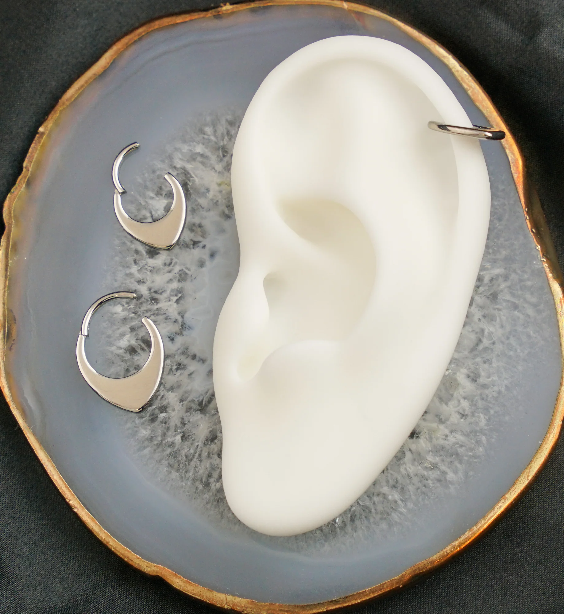 Rounded Point Titanium Hinged Segment Ring - Mrs Treak