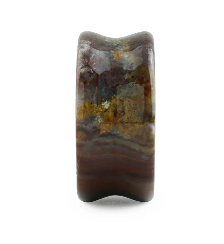 Serape Agate Stone Plugs - Mrs Treak