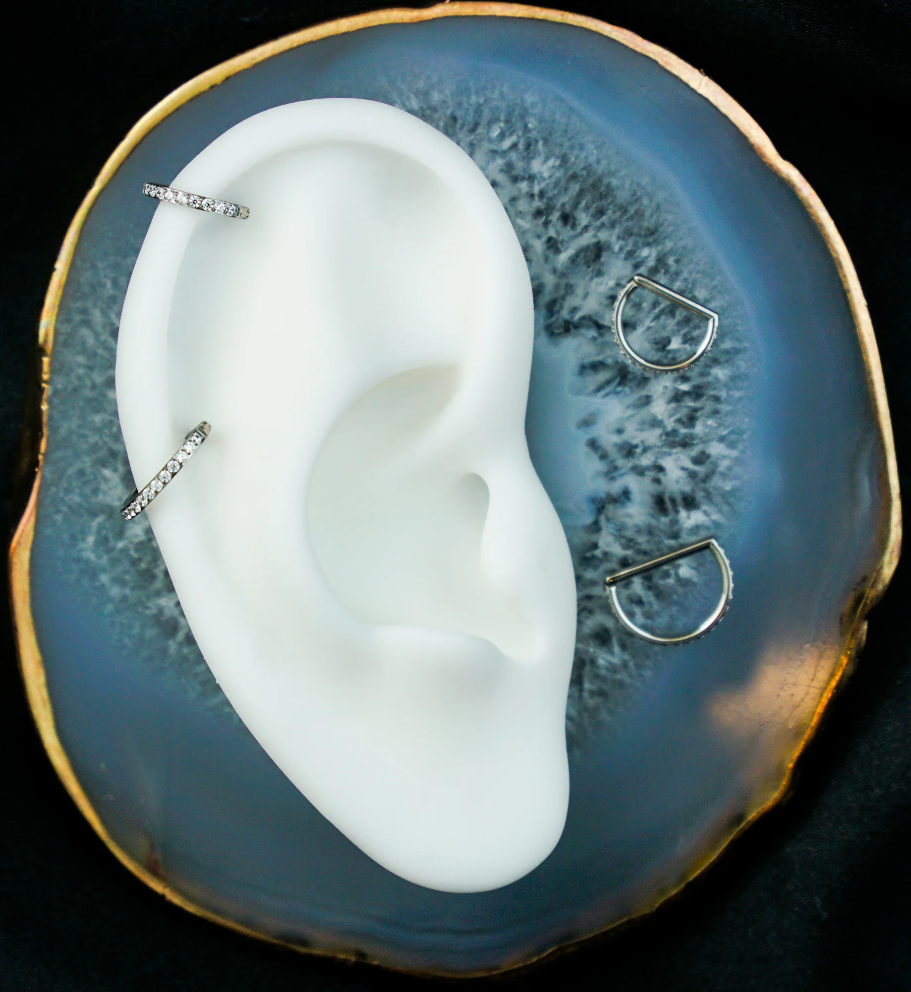 Outward Facing Deca Clear CZ Titanium D-Shaped Hinged Segment Ring - Mrs Treak