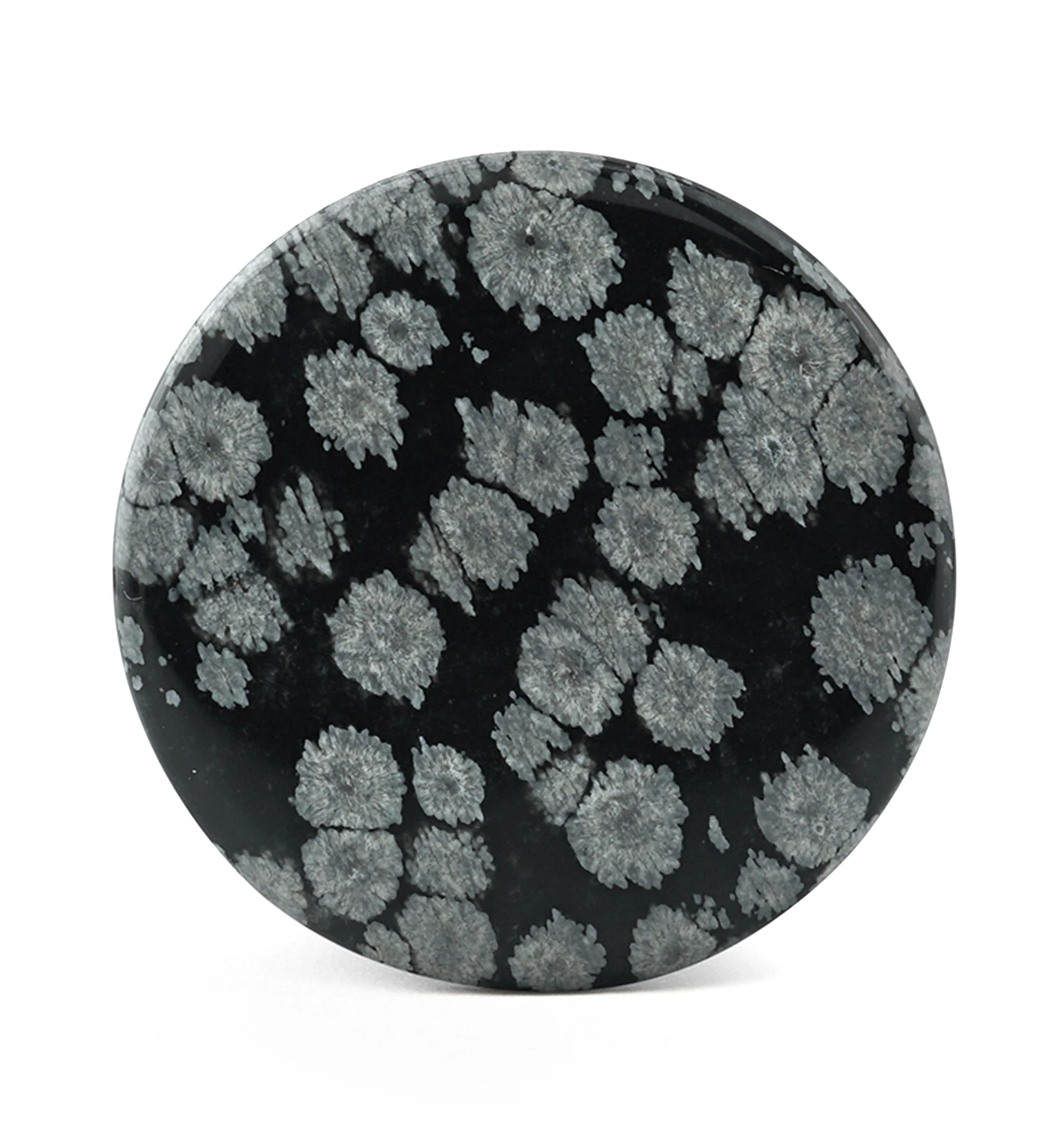 Snowflake Obsidian Stone Plugs - Mrs Treak