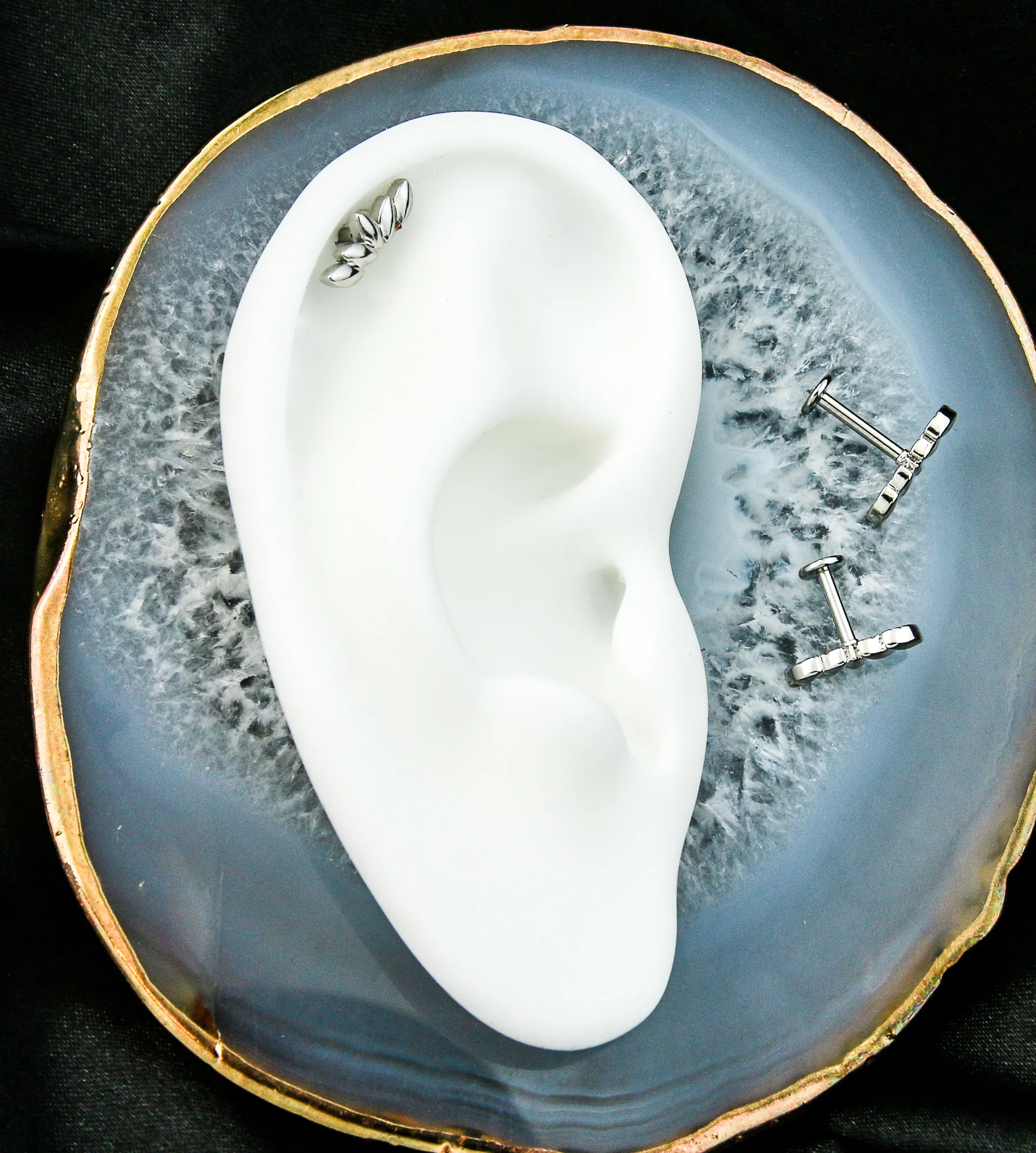 Crest Internally Threaded Stainless Steel Labret - Mrs Treak