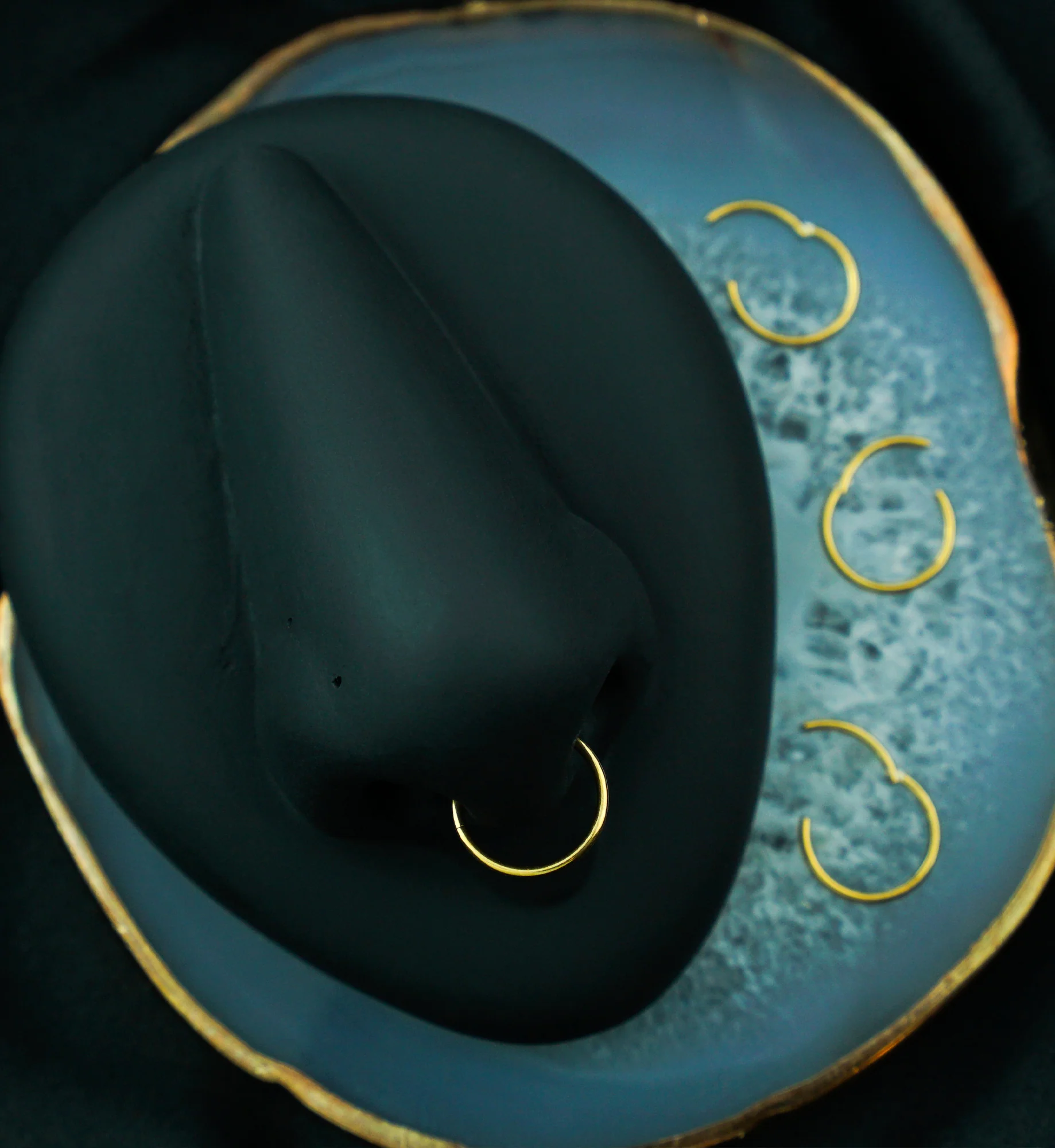 Gold PVD Hinged Stainless Steel Segment Hoop Ring - Mrs Treak