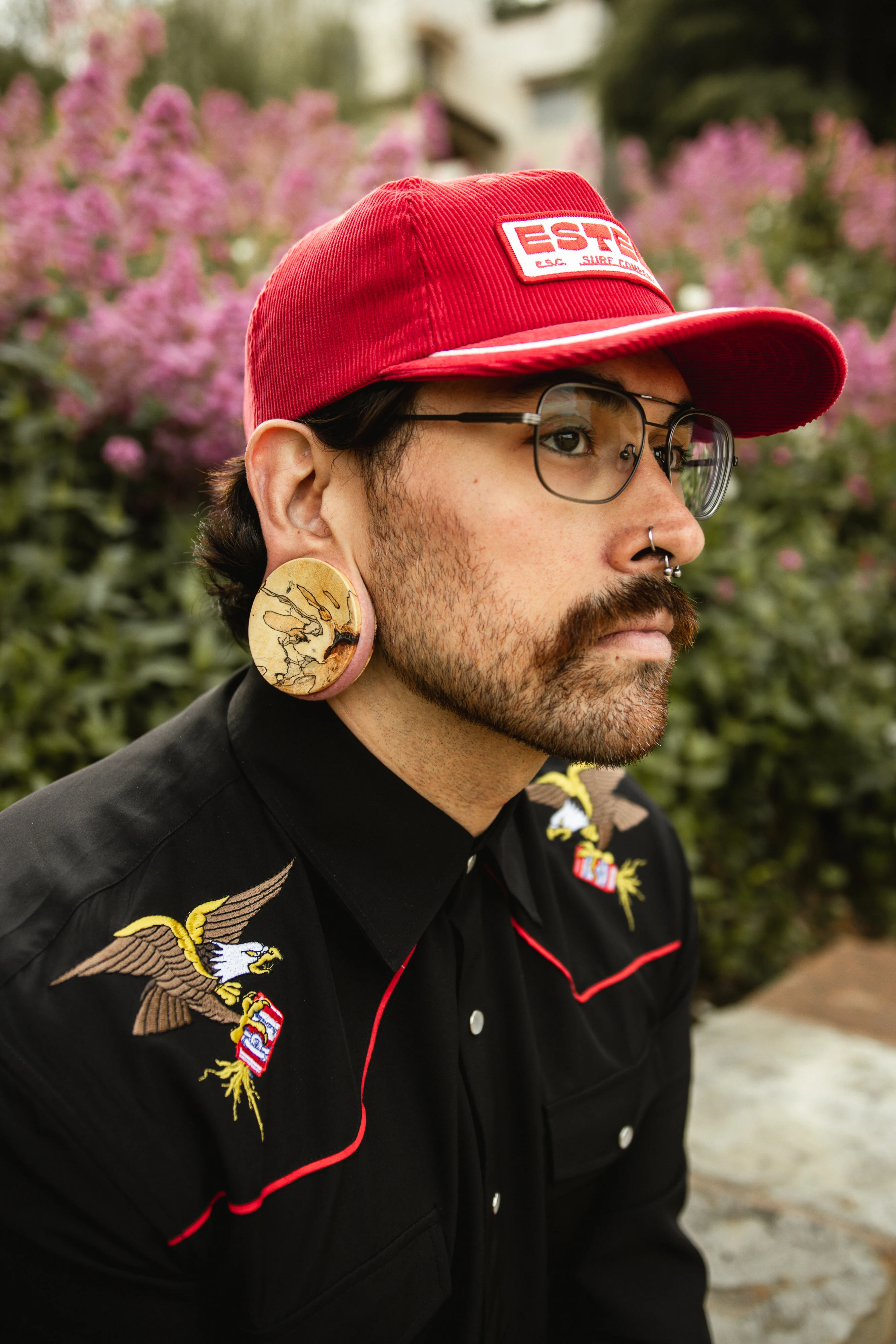 Tamarind Wood Plugs - Mrs Treak