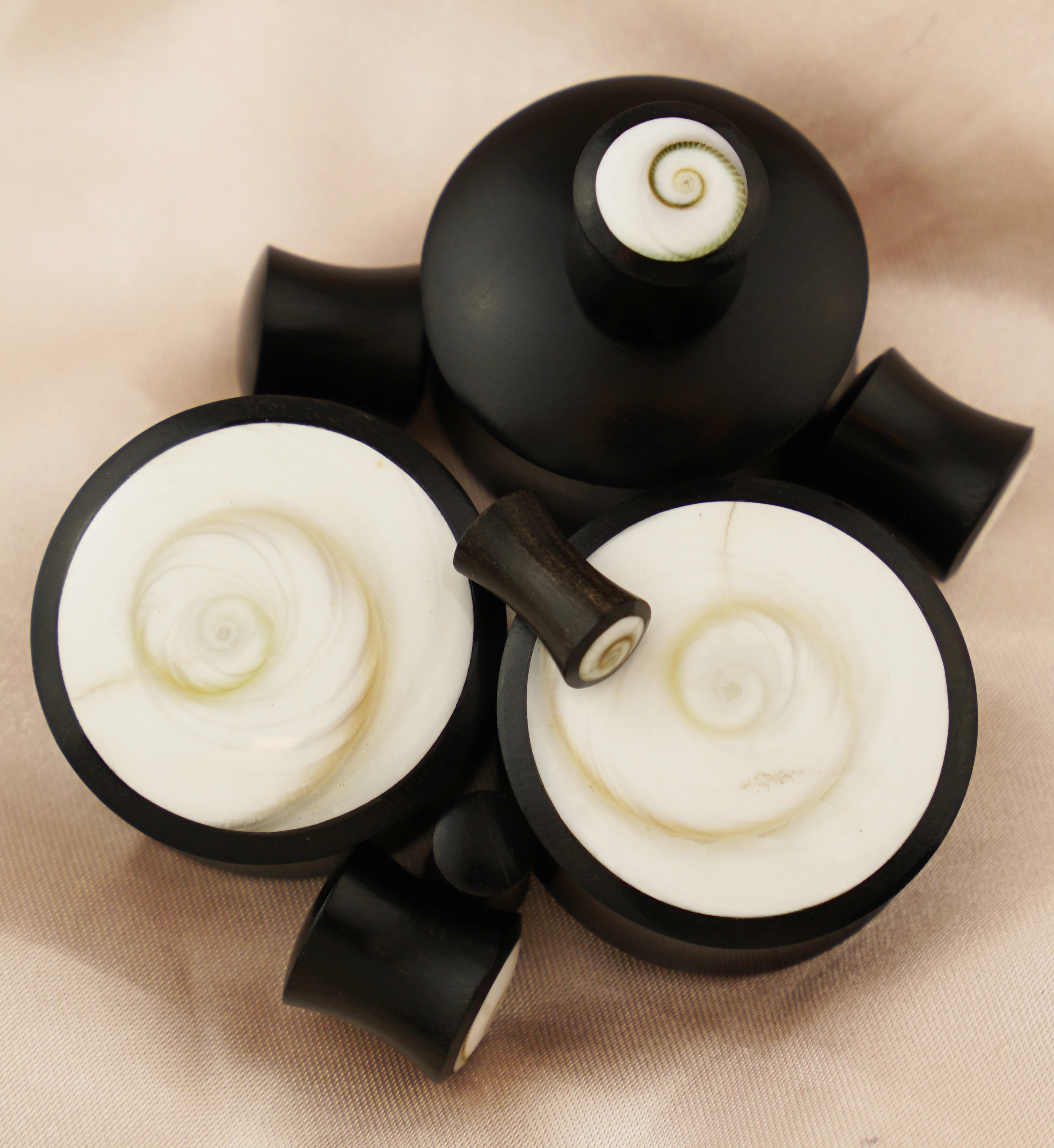 Spiral Sea Shell Inlay Wood Plugs - Mrs Treak