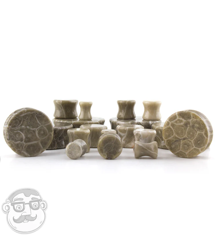 Fossilized Coral Plugs - Mrs Treak