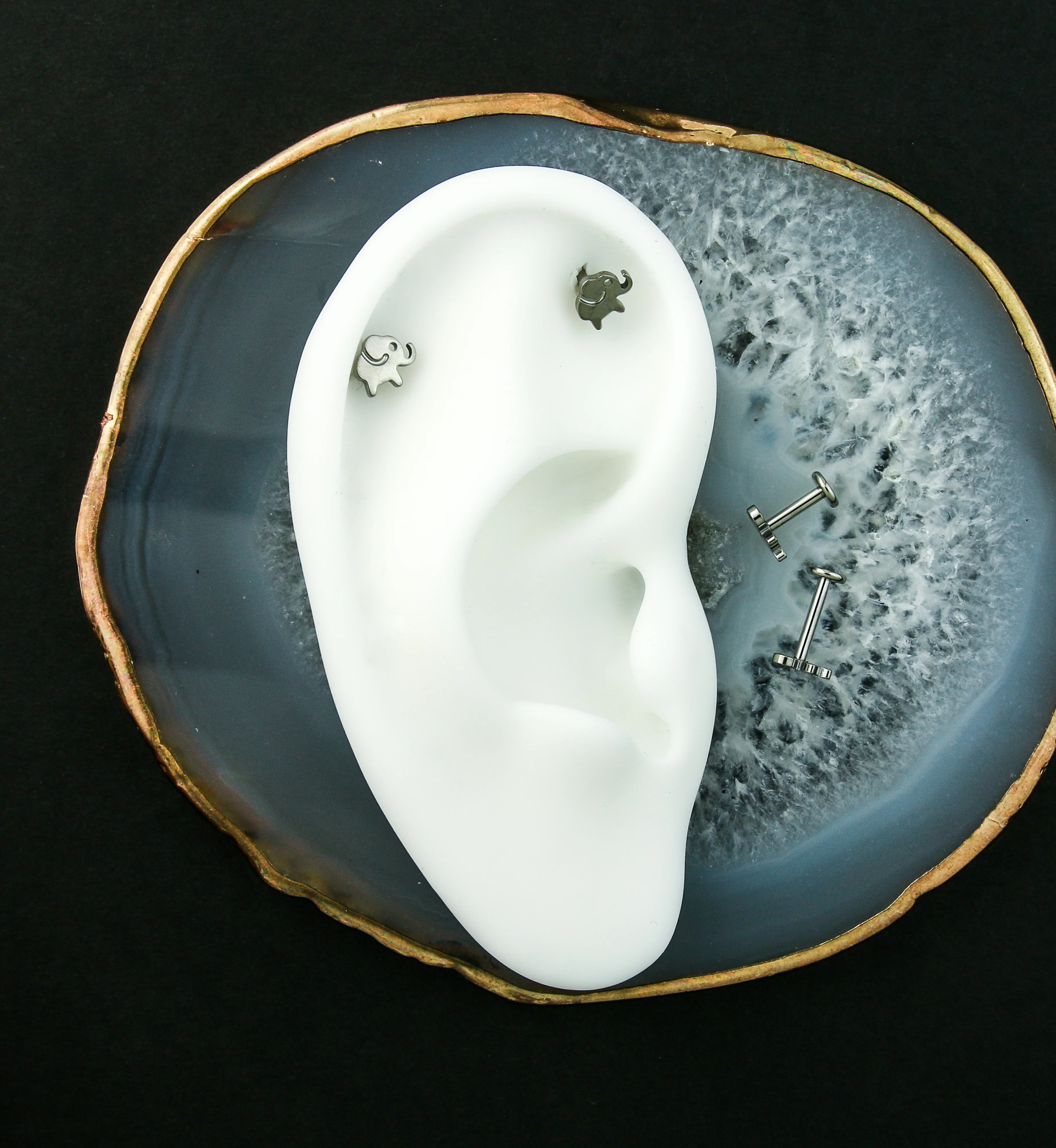 Elephant Internally Threaded Titanium Labret - Mrs Treak