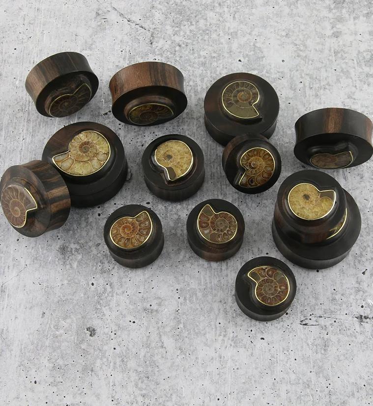 Areng Wood Plugs with Ammonite Inlay - Mrs Treak