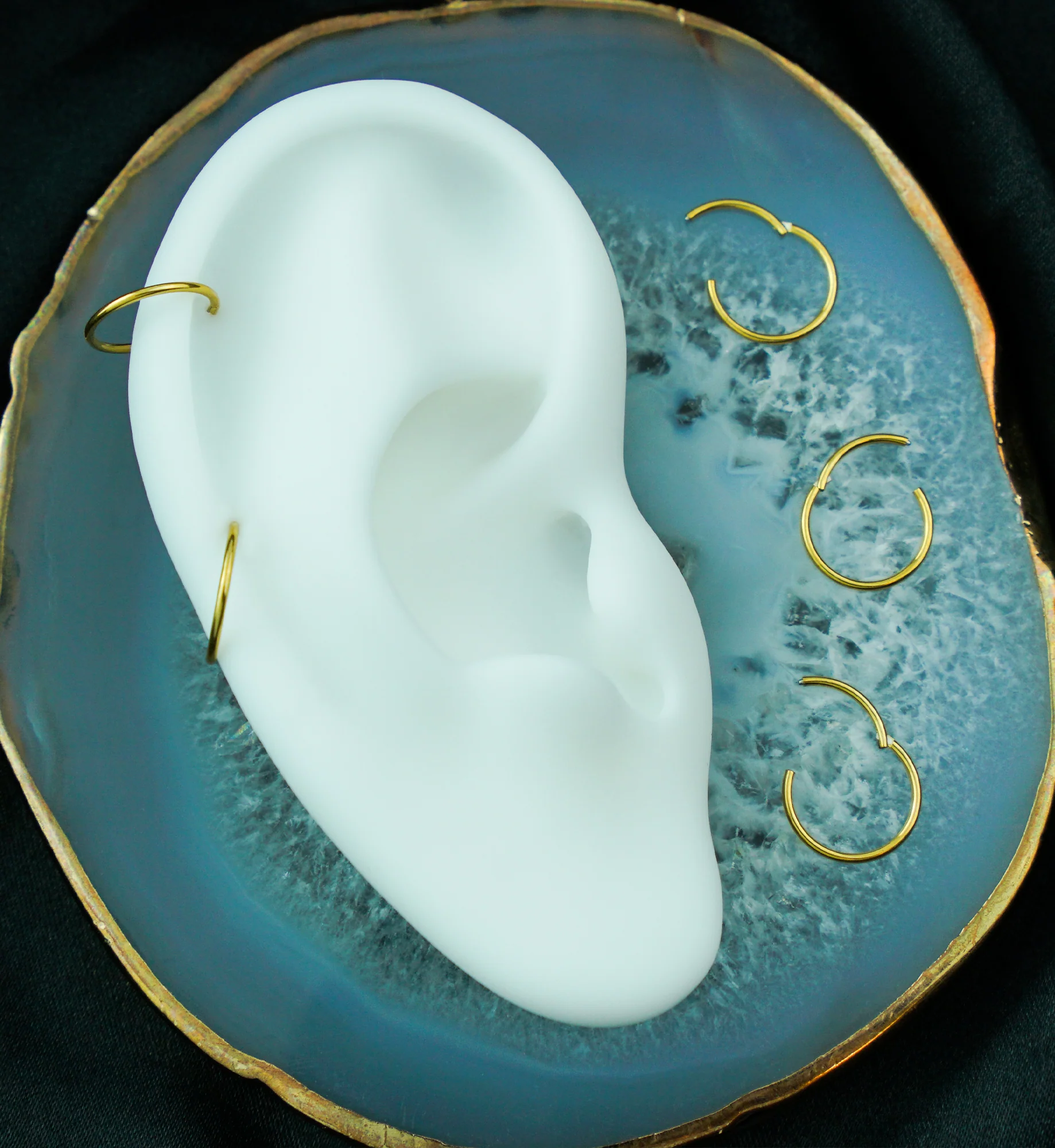 Gold PVD Hinged Stainless Steel Segment Hoop Ring - Mrs Treak