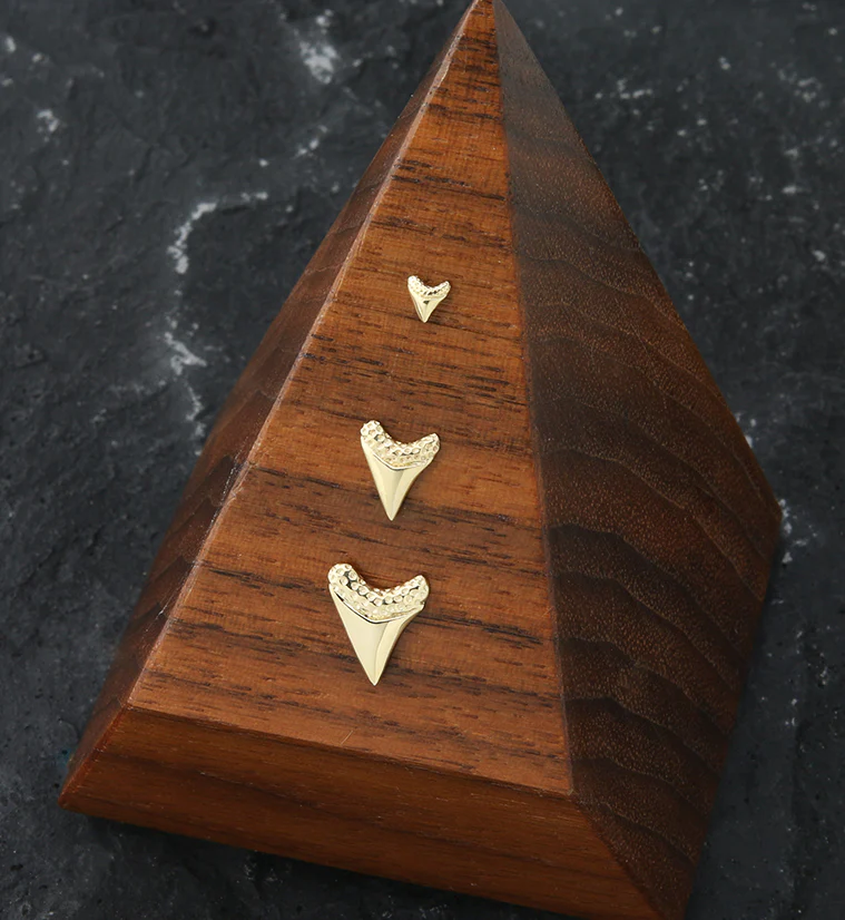 14kt Gold Shark Tooth Threadless Top - Mrs Treak