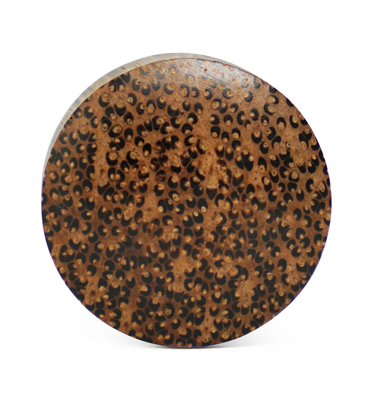 Coconut Wood Plugs - Mrs Treak