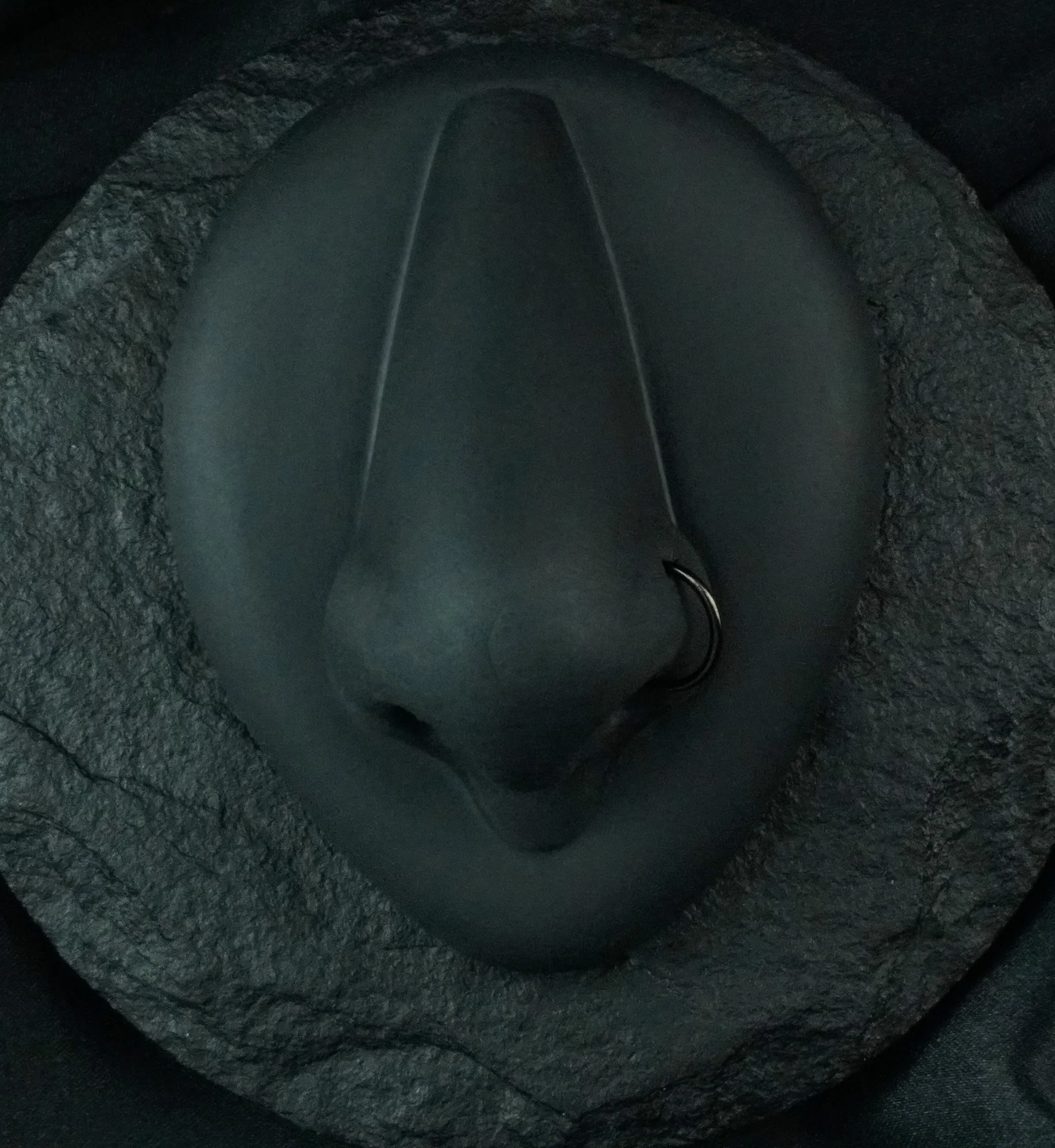 Black PVD Titanium Nose Ring Hoop - Mrs Treak