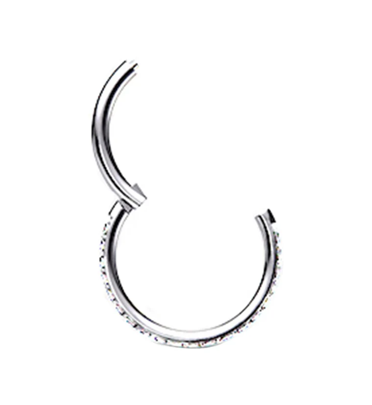 Titanium Hinged Edge CZ Segment Ring - Mrs Treak