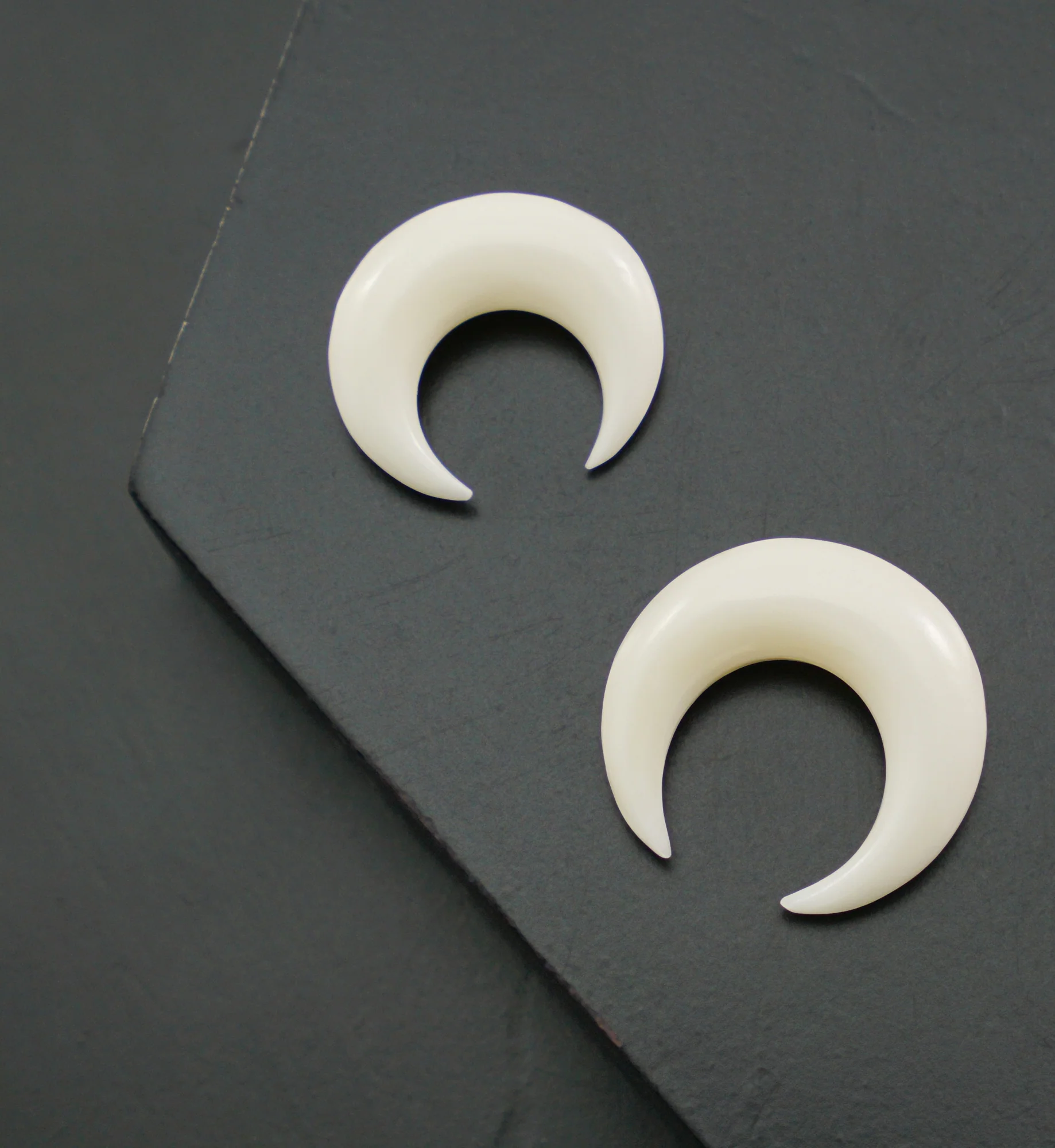 Bone Septum Pincher - Mrs Treak