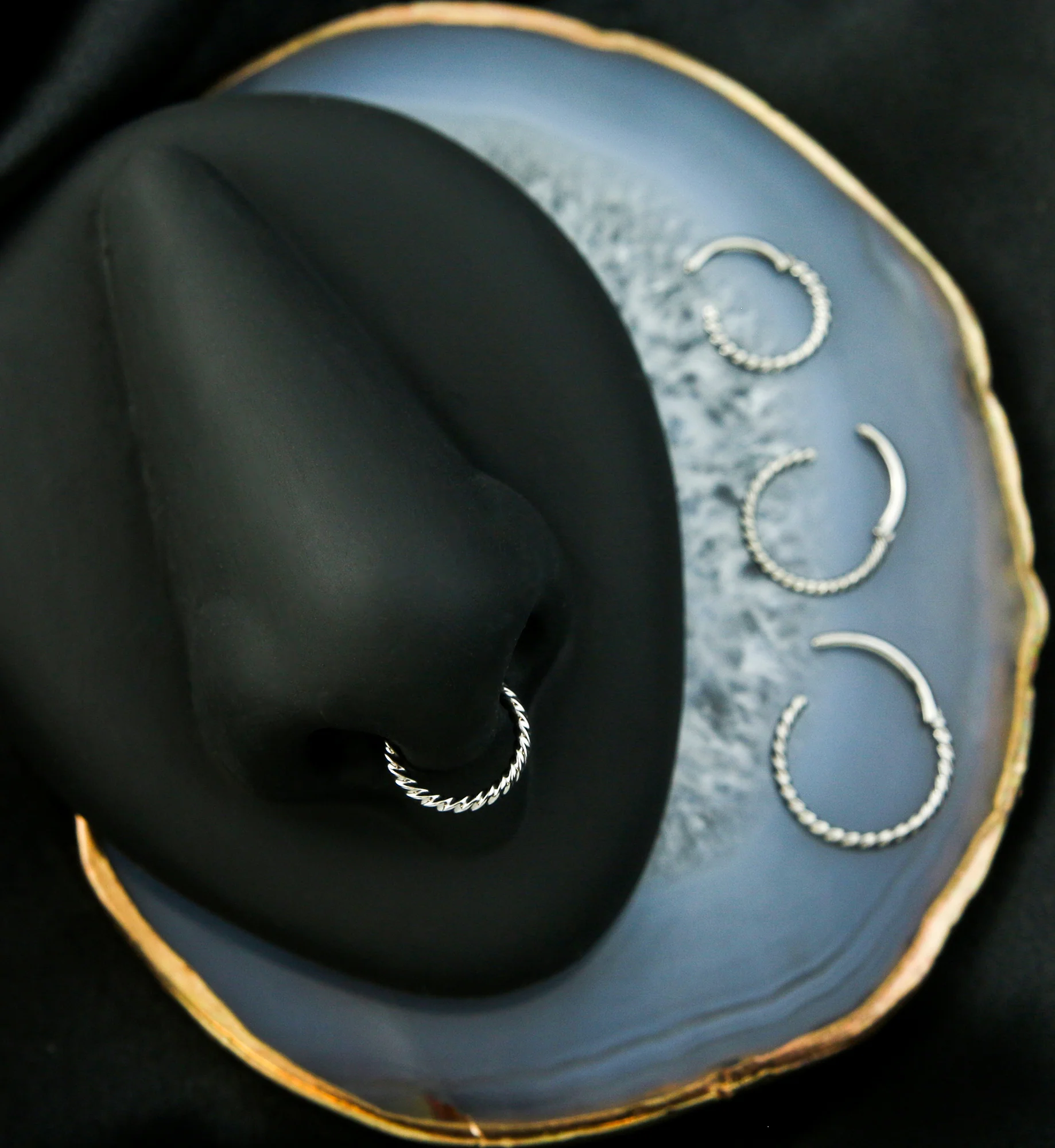 Twisted Titanium Segment Ring - Mrs Treak