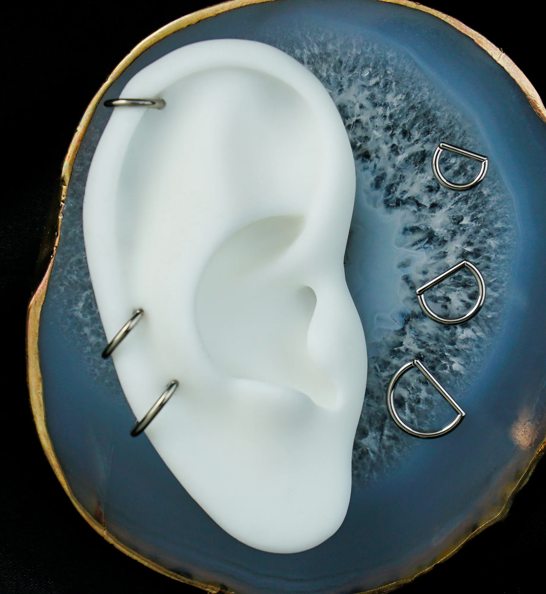 Titanium D-Shaped Hinged Segment Ring - Mrs Treak