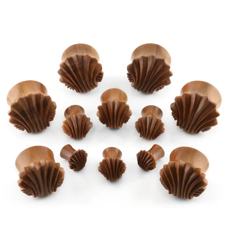 Carved Sea Shell Wood Plugs - Mrs Treak
