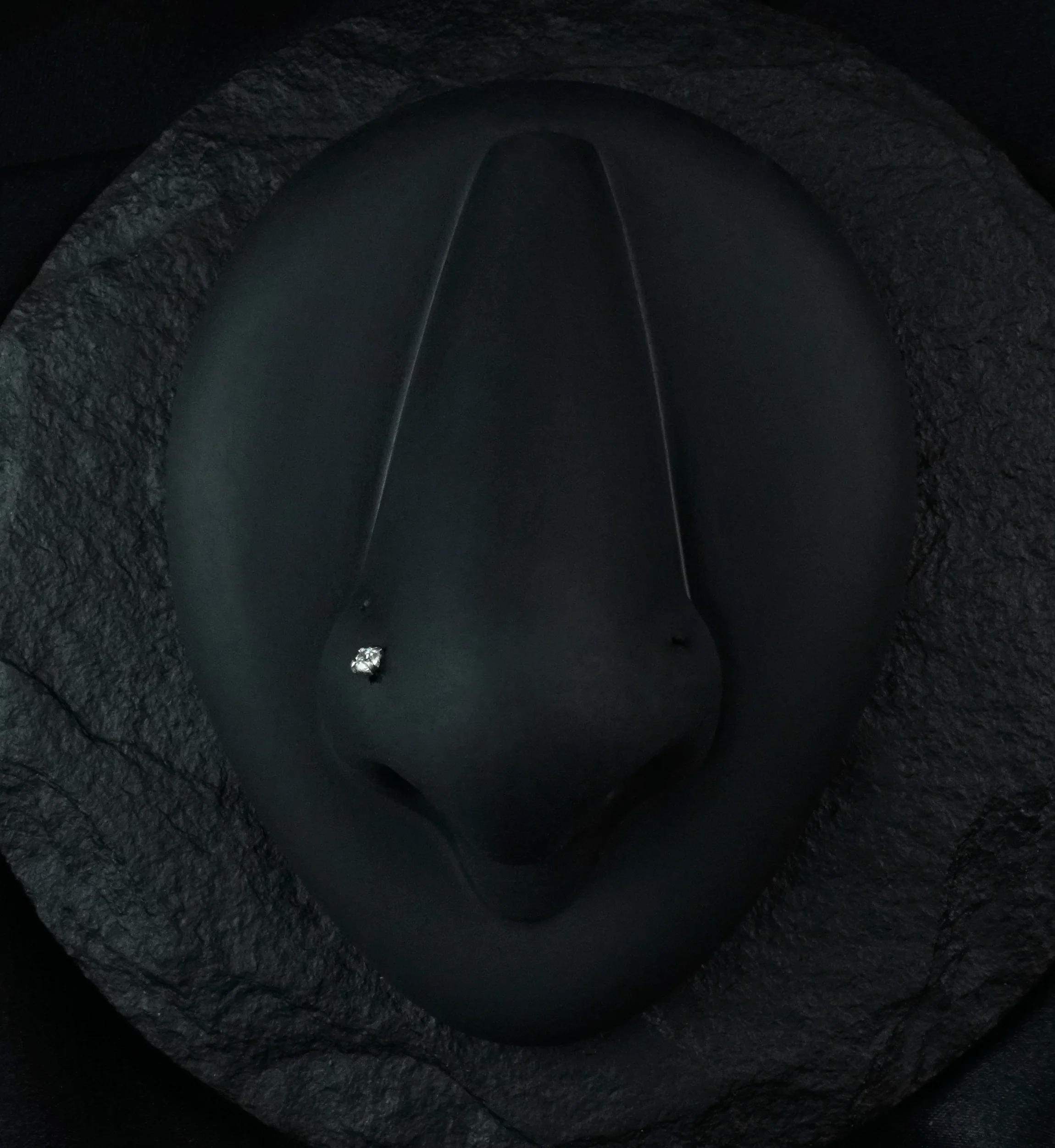 Clear Prong Set CZ Stainless Steel Nosebone - Mrs Treak