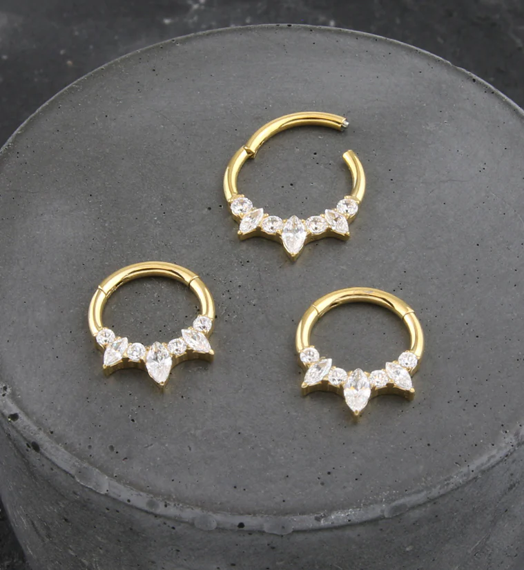 Gold PVD Medley Clear CZ Titanium Hinged Segment Ring - Mrs Treak