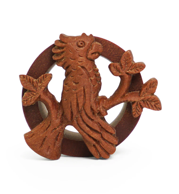 Parrot Carved Saba Wood Tunnels - Mrs Treak