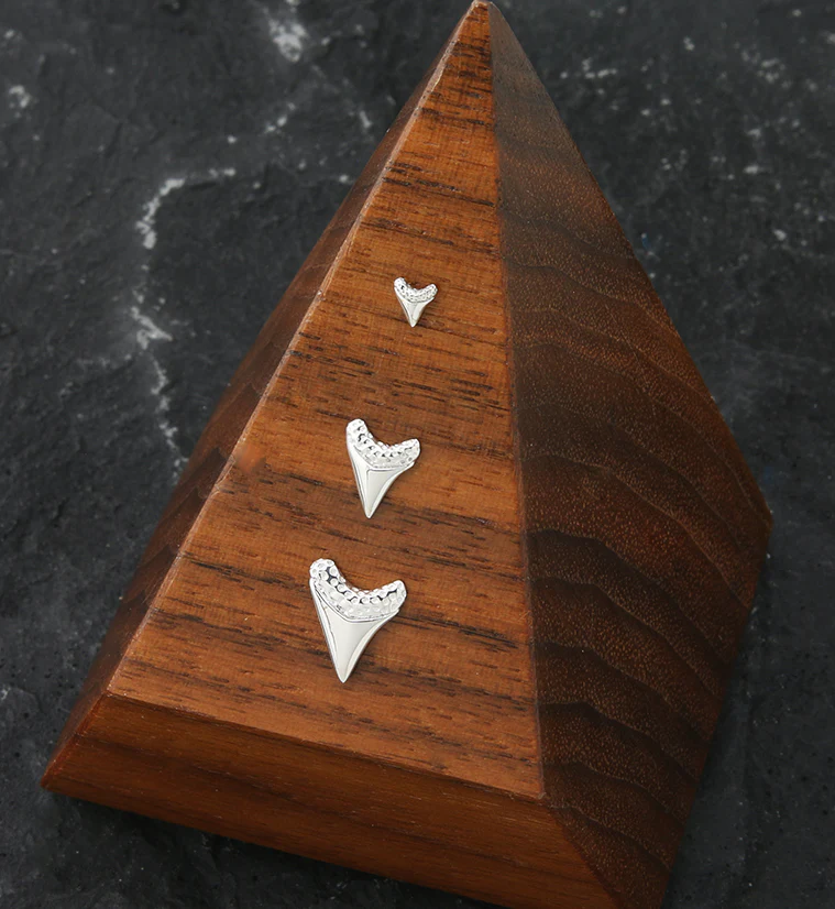 14kt White Gold Shark Tooth Threadless Top - Mrs Treak