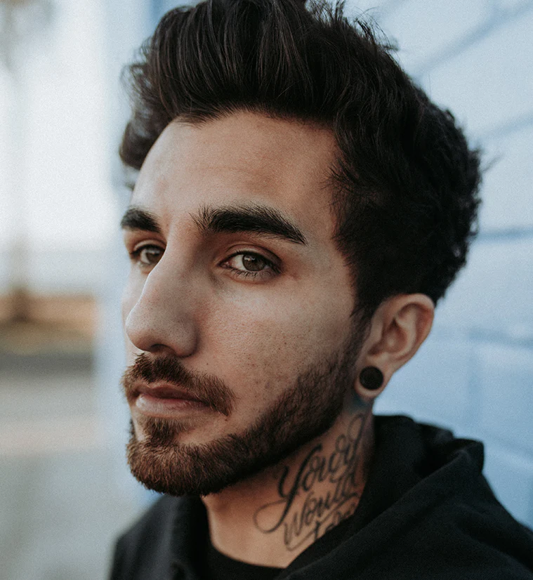 Black Obsidian Stone Plugs - Mrs Treak