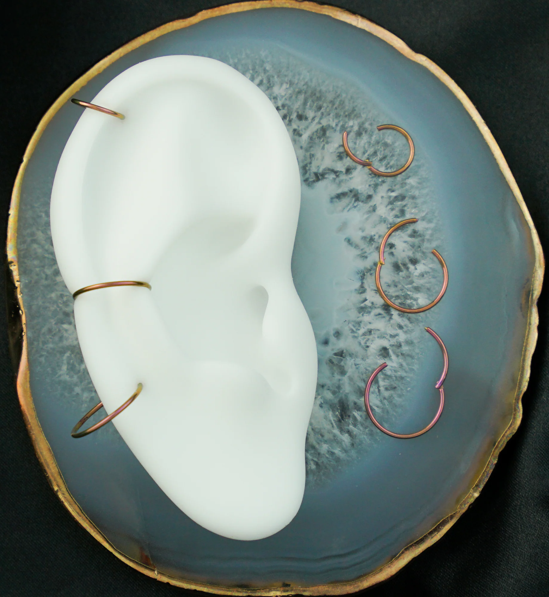 Rose Gold Anodized Titanium Hinged Segment Hoop Ring - Mrs Treak