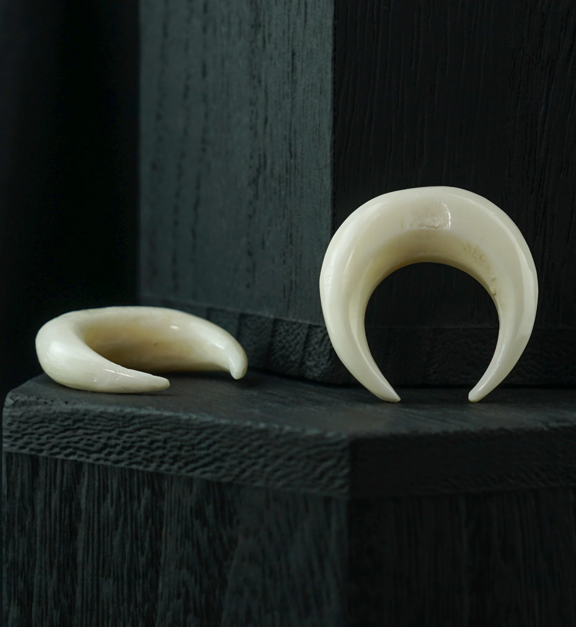 Solid Bone Pinchers - Mrs Treak