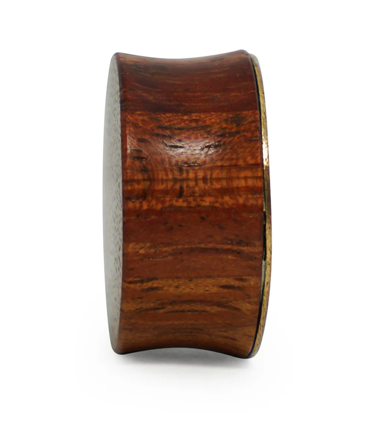 Brass Dragonfly Wood Plugs With Teal Stone Inlay - Mrs Treak