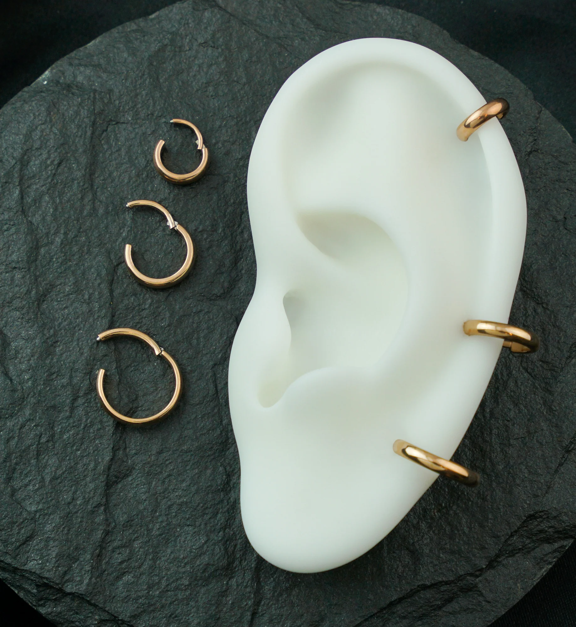 Rose Gold PVD Thick Rim Titanium Hinged Segment Ring - Mrs Treak