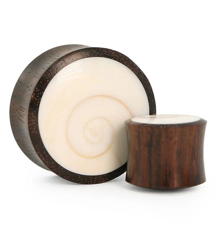 Spiral Sea Shell Inlay Wood Plugs - Mrs Treak