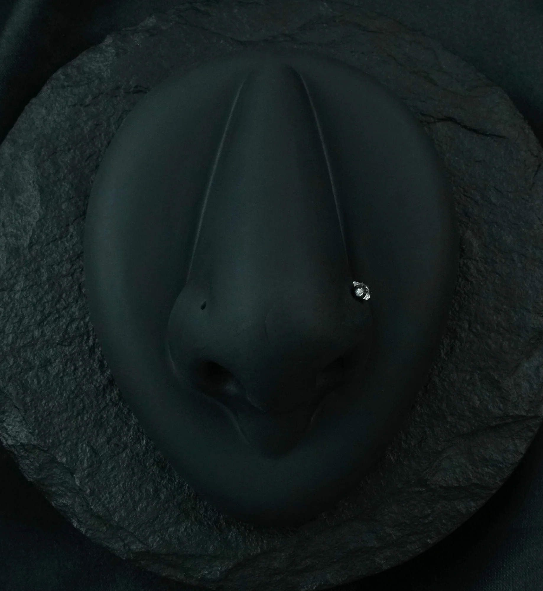 Black PVD Star CZ Prong L Bend Nose Ring - Mrs Treak