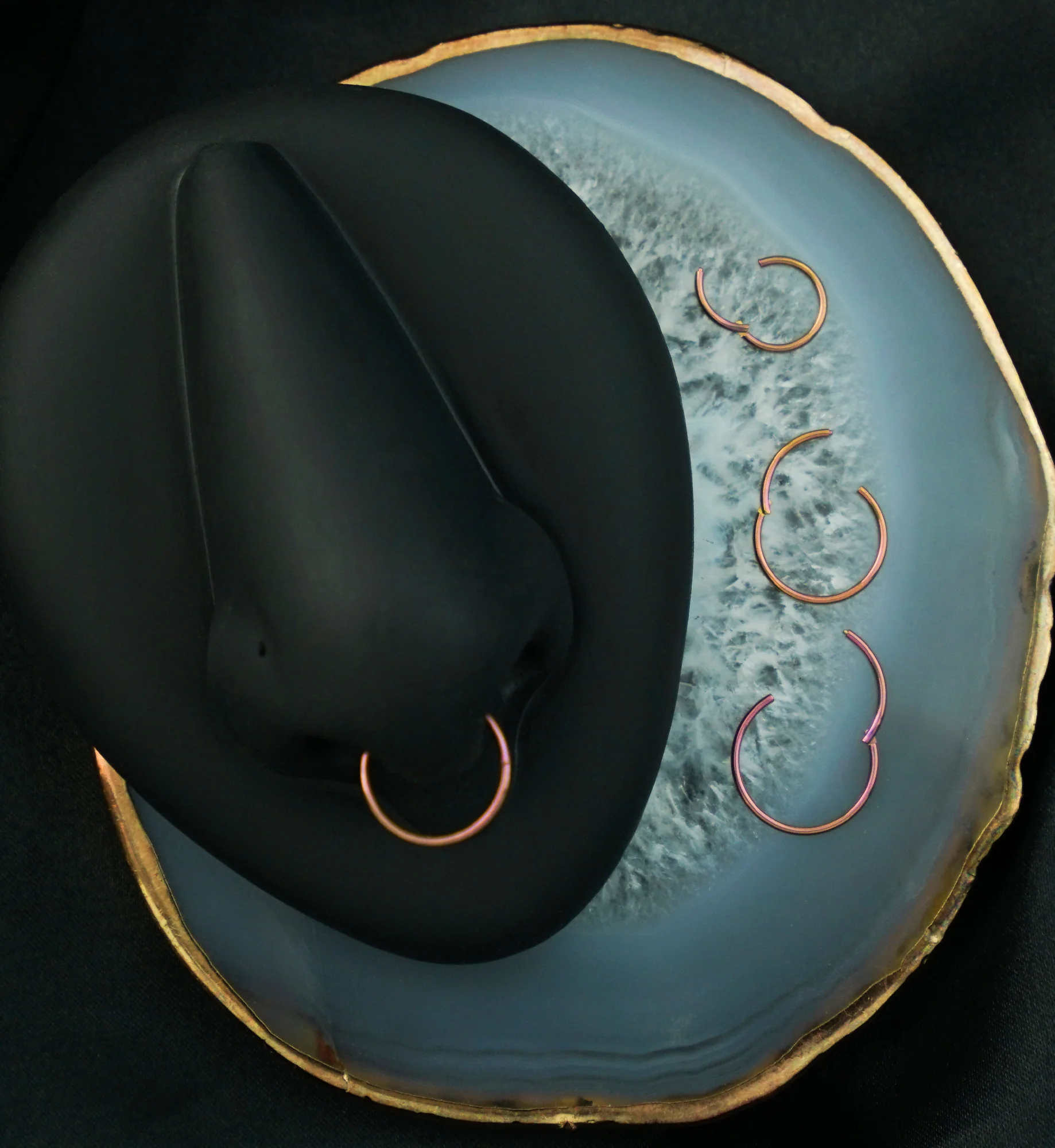 Rose Gold Anodized Titanium Hinged Segment Hoop Ring - Mrs Treak