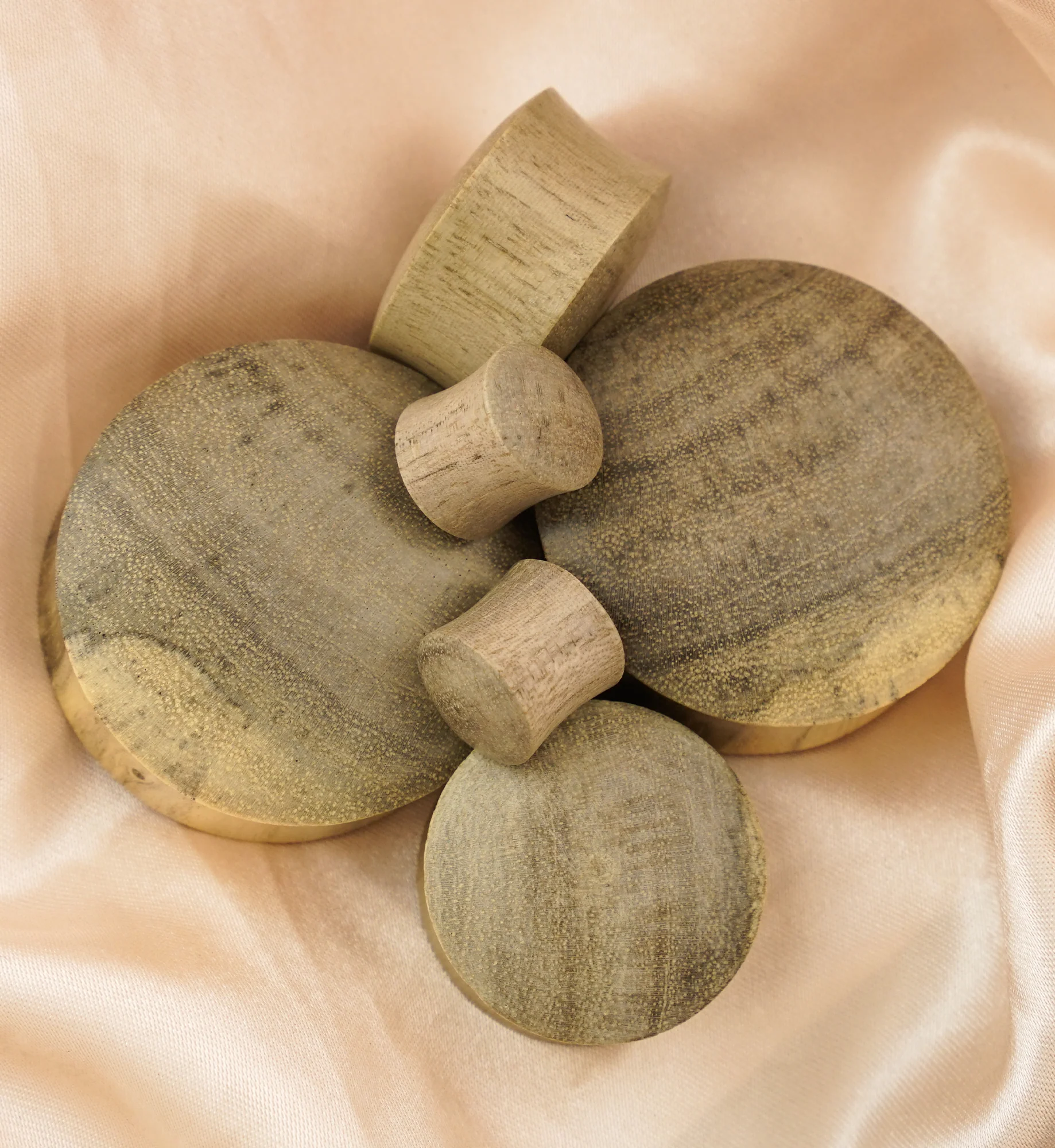 Waru Wood Plugs - Mrs Treak