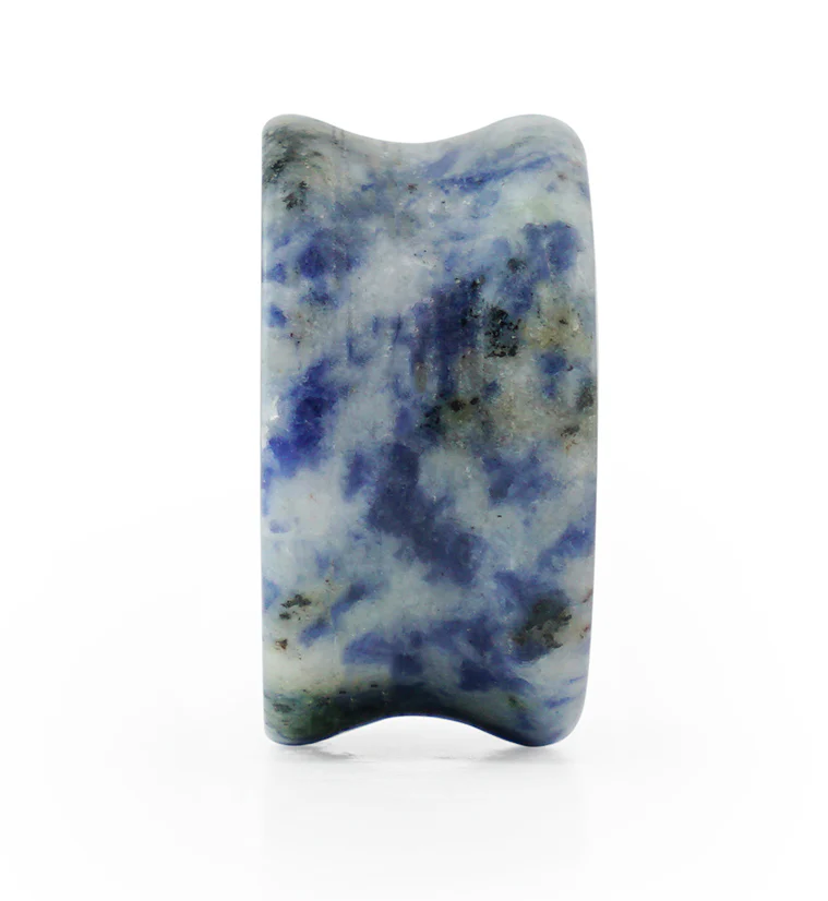 Blue Spot Jasper Stone Plugs - Mrs Treak