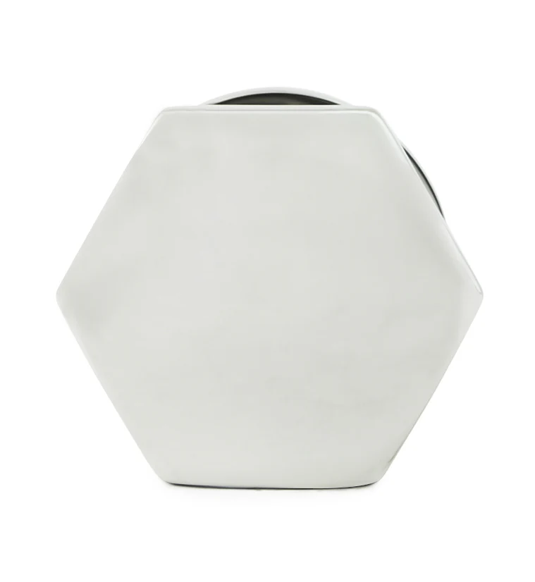 Hexagon Single Flare Stainless Steel Tunnels - Mrs Treak