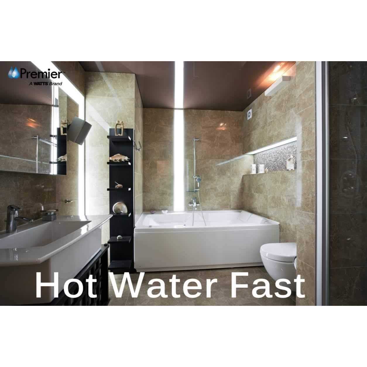 Watts Premier WP116001 Air-Gap Non-Monitored Faucet for Water Filtration Systems - MT - Mrs Treak