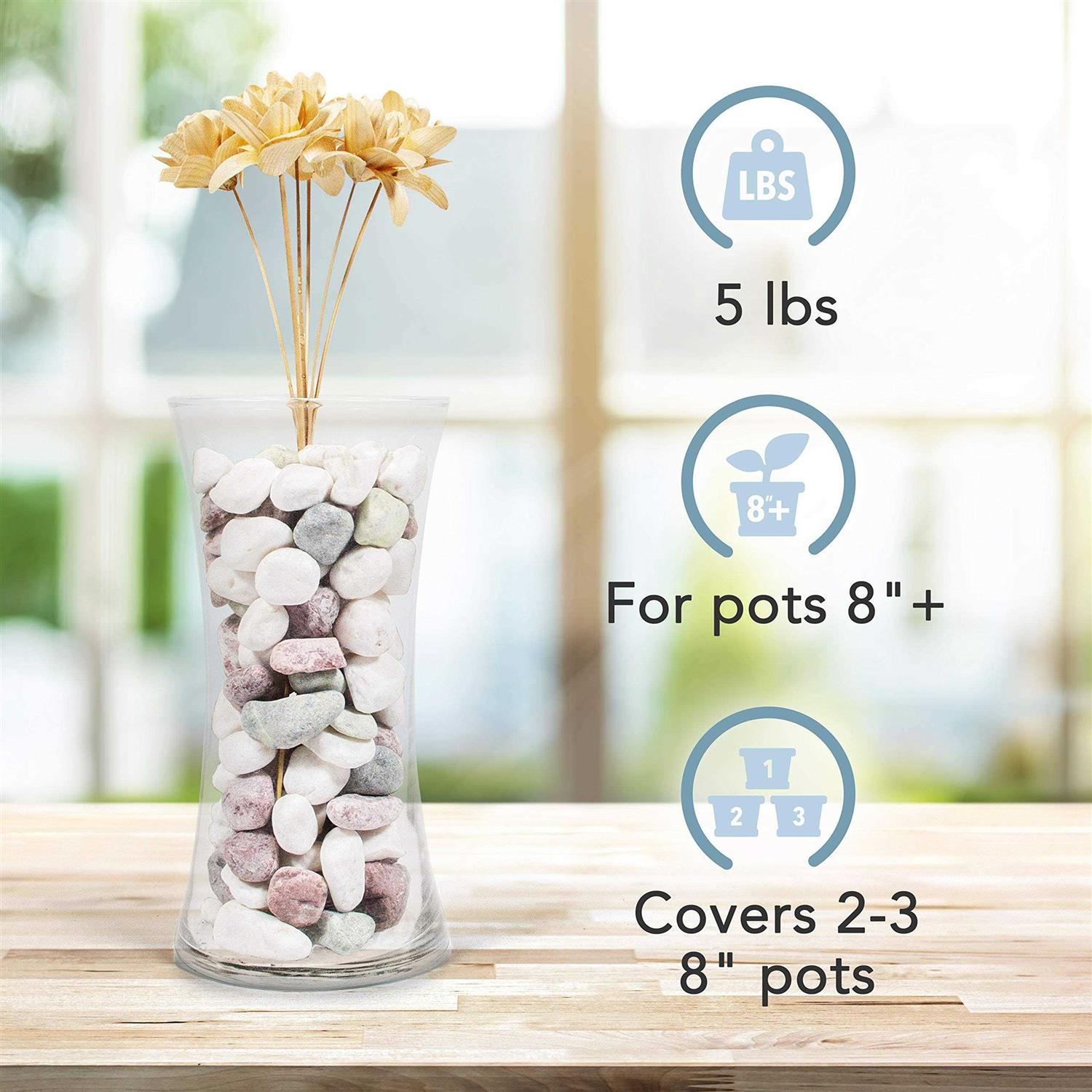 Williams WS-476 6 Piece Adjustable Pin Spanner Wrench Set - MT - Mrs Treak