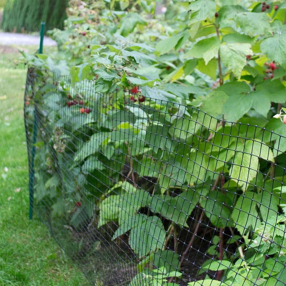 YardGard 72 in. H 16 Gauge Metal Chain Link Fence Terminal Post - Mrs Treak