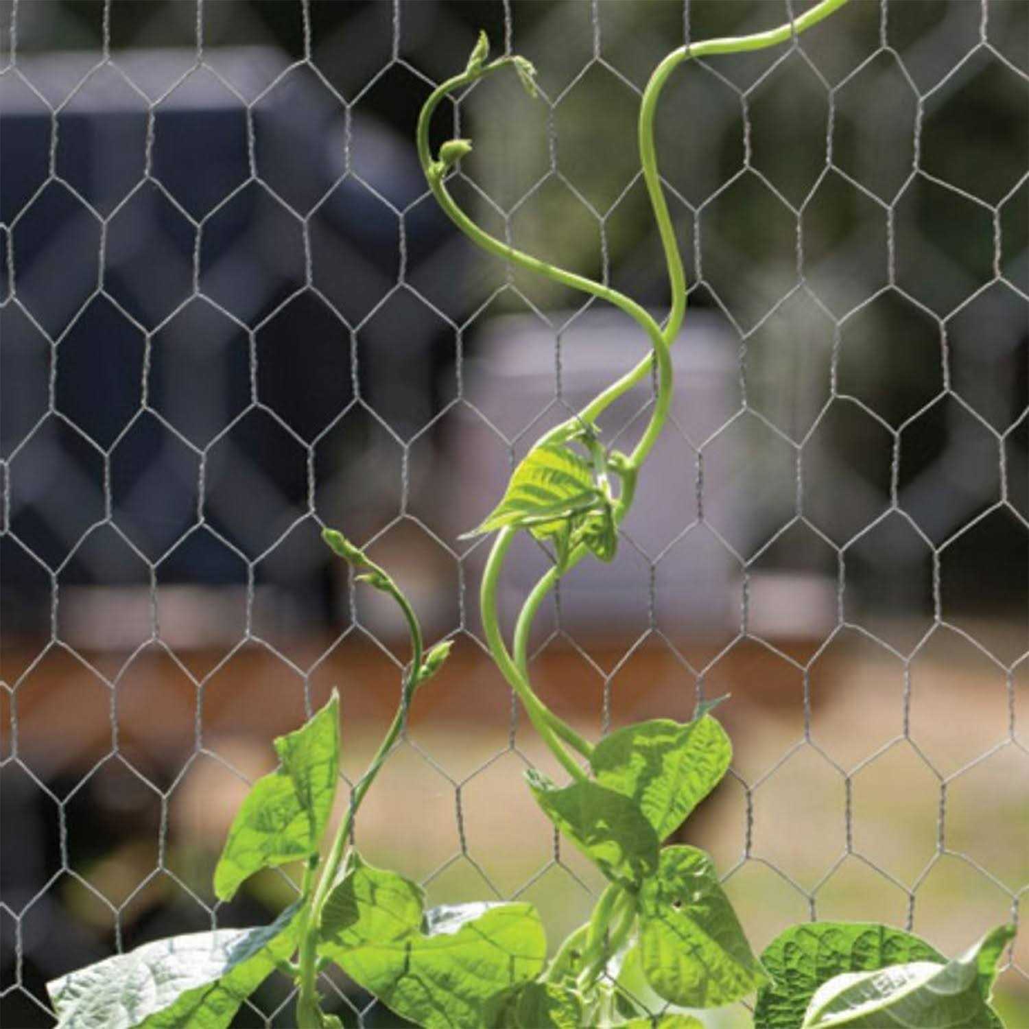 YARDGARD Mesh Poultry Netting - MT - Mrs Treak