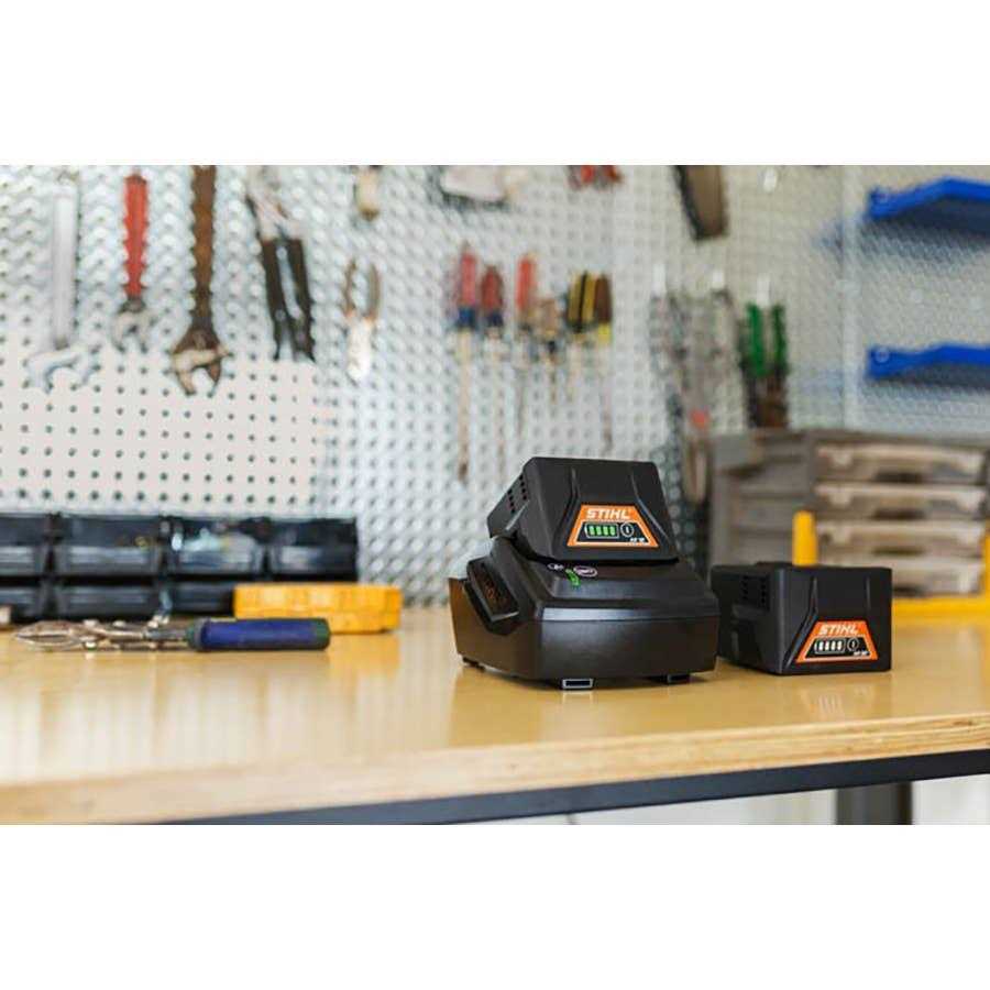 Stihl AK 10 Battery - MT - Mrs Treak
